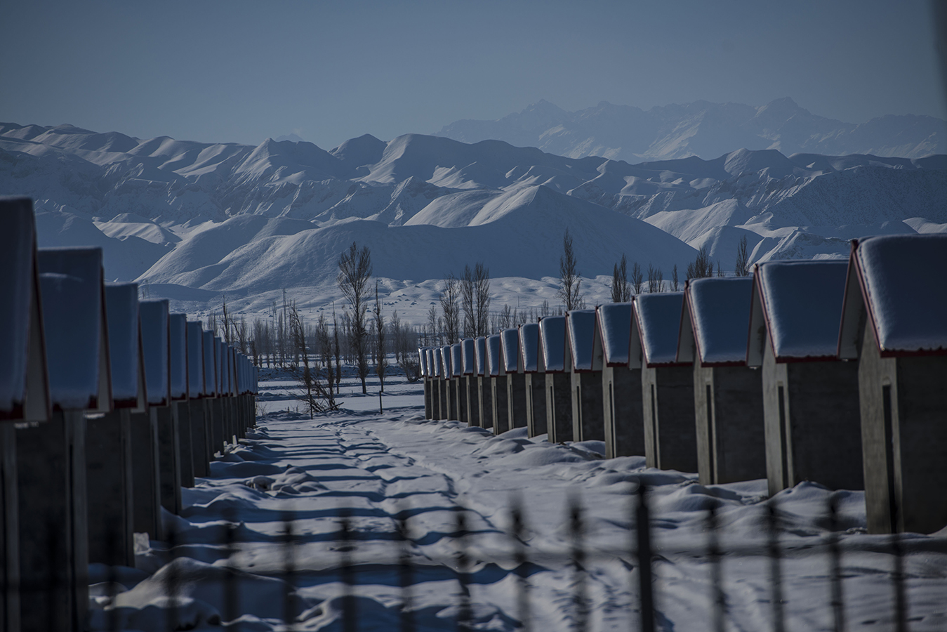 �ڽ�������