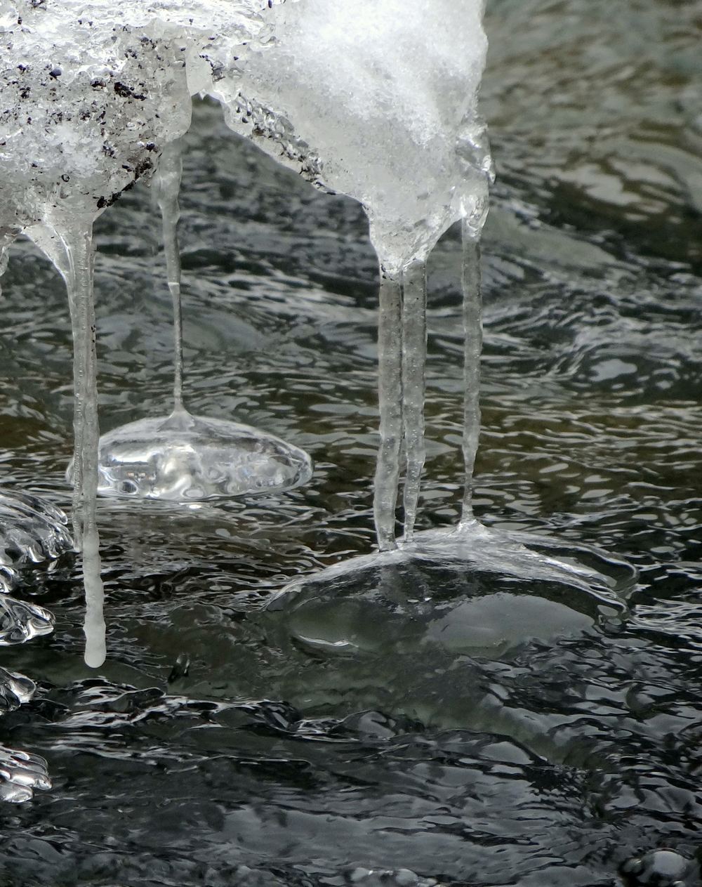 nǧ��һ�� (3).jpg