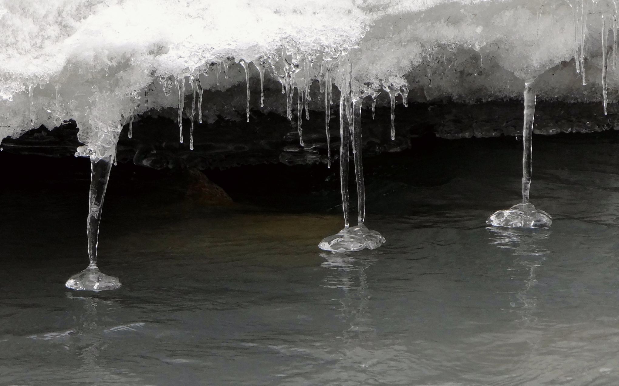 nǧ��һ�� (1).jpg