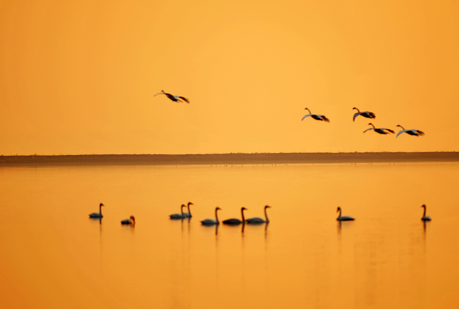 �˳���ƽ½�������� ��Ӱ �ŷ�1.JPG