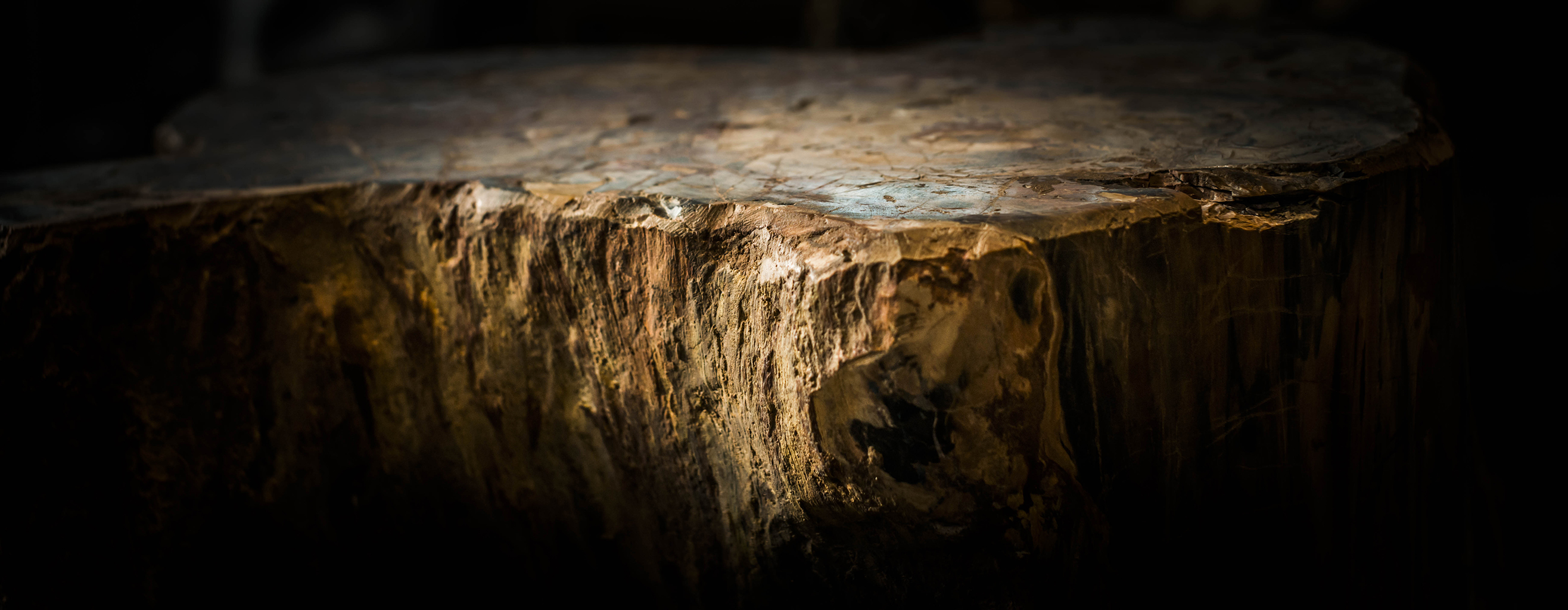 һ����ļ���1