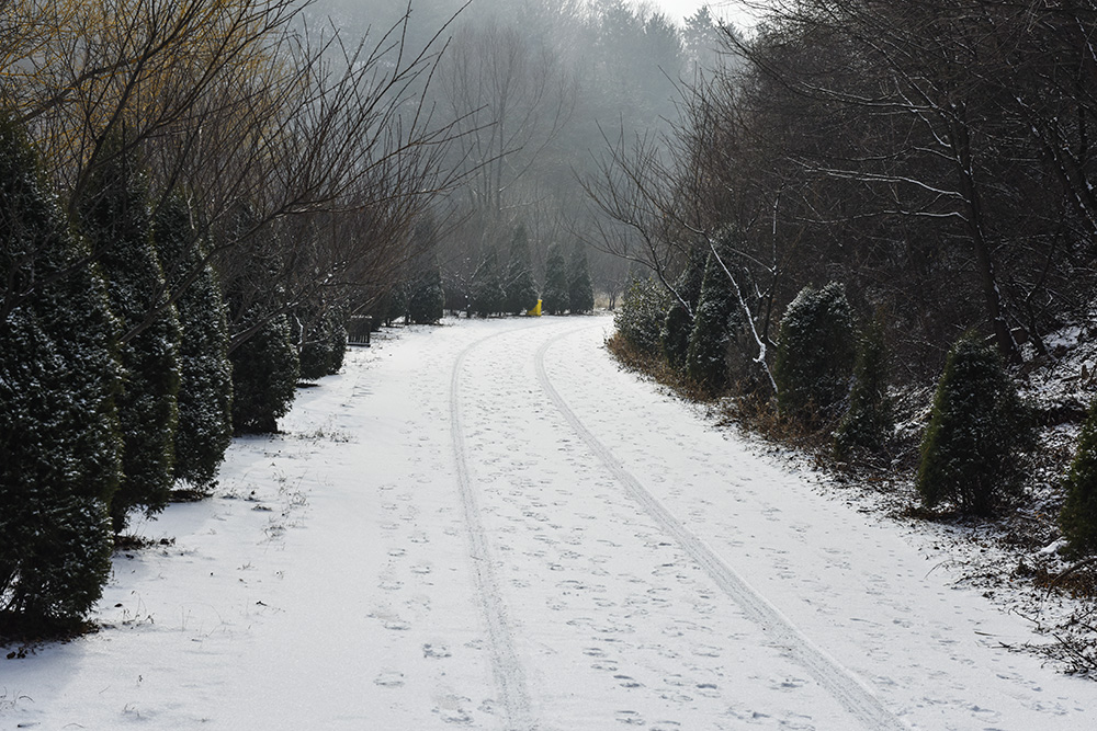 2015��1��25�մ��ɽѩ a0491.jpg