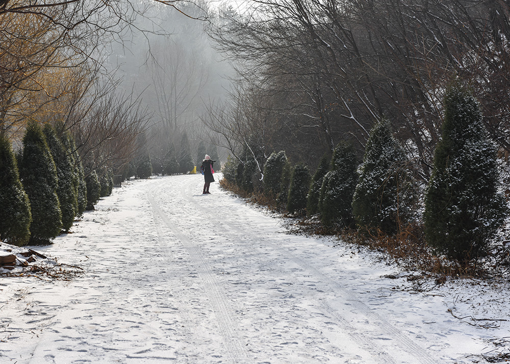 2015��1��25�մ��ɽѩ a0801.jpg