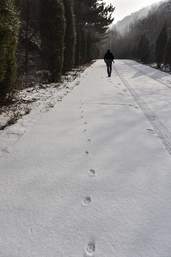 2015��1��25�մ��ɽѩ a0711.jpg