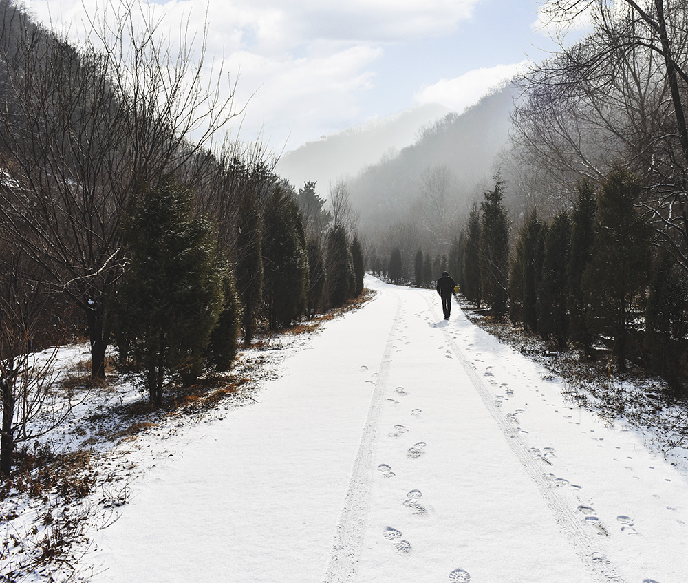 2015��1��25�մ��ɽѩ a0701.jpg