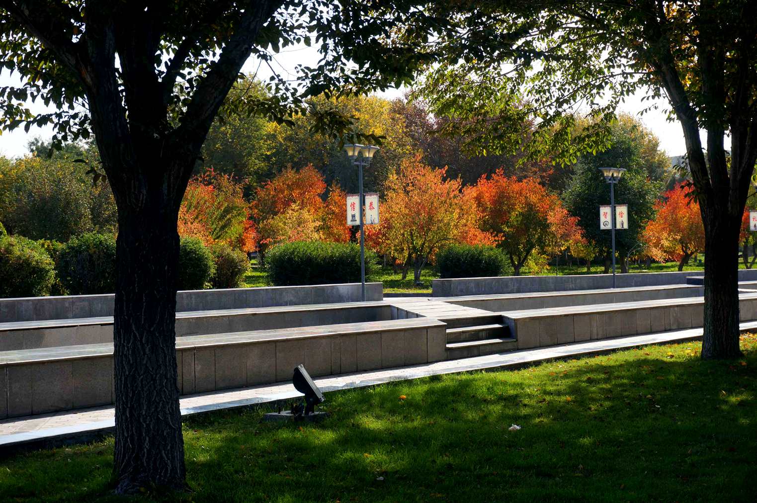 DSC00975 ����_����.jpg