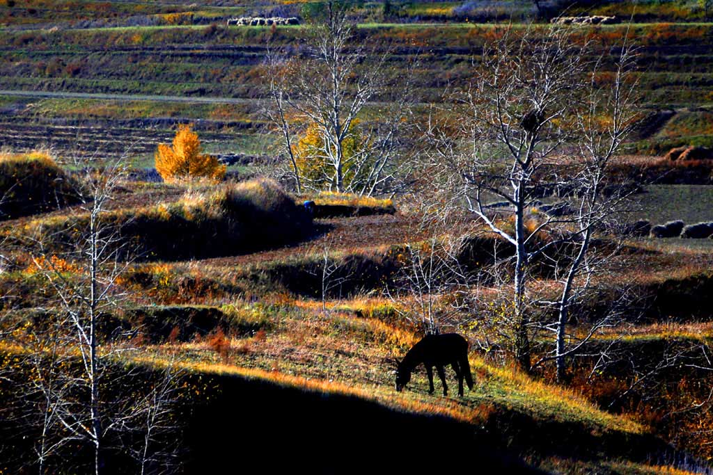 25. ����ͼ.jpg