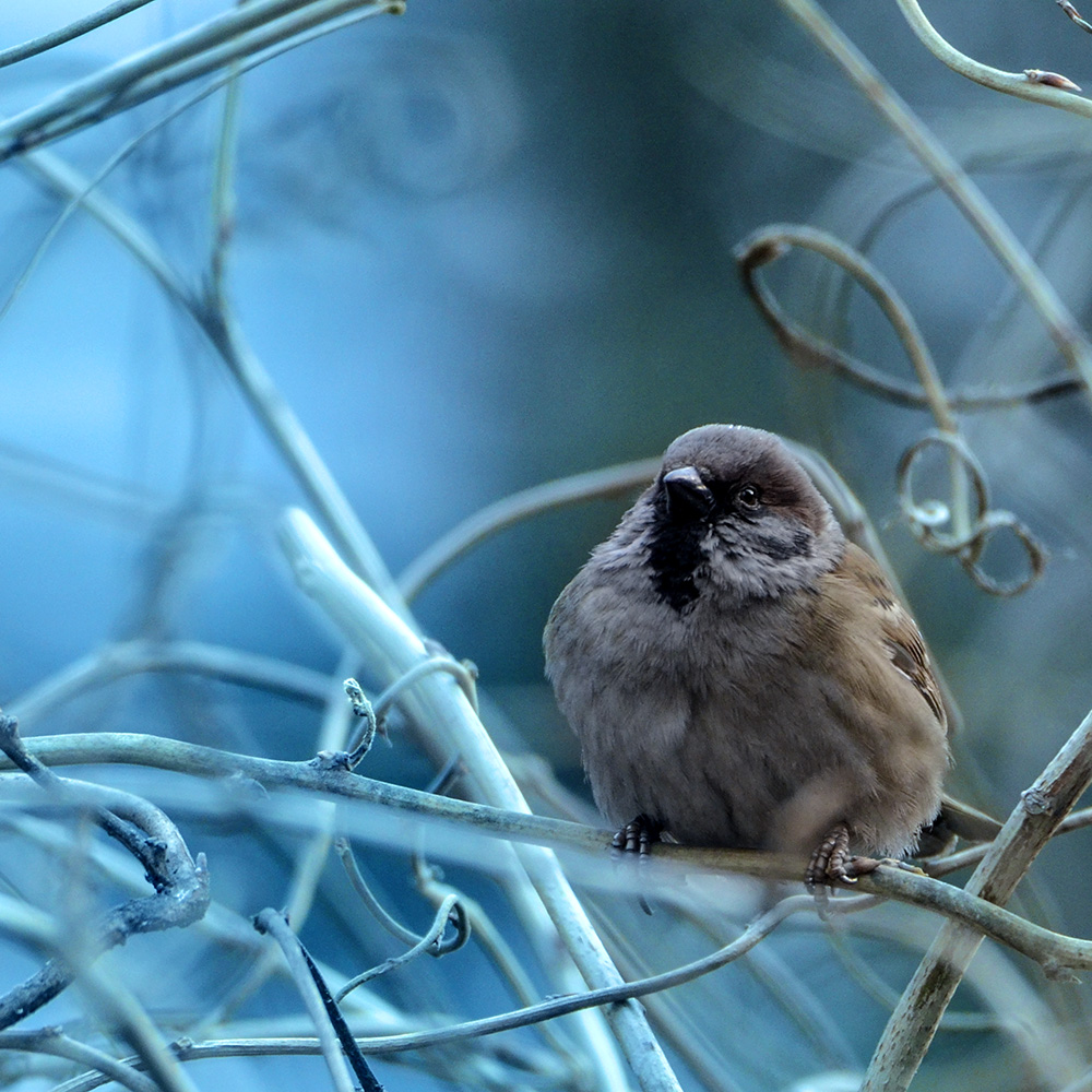 2015��2��3���� a0441.jpg