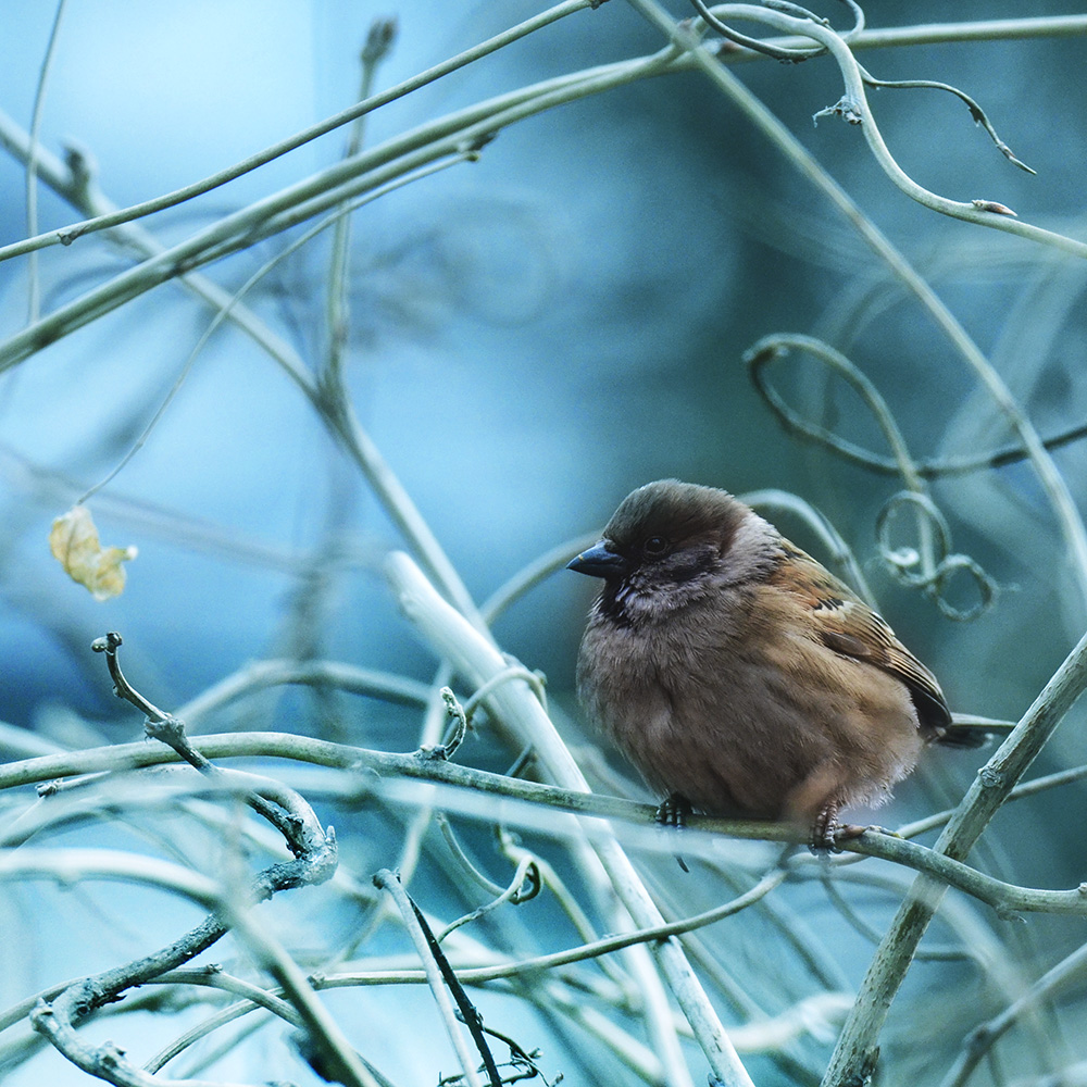 2015��2��3���� a0411.jpg