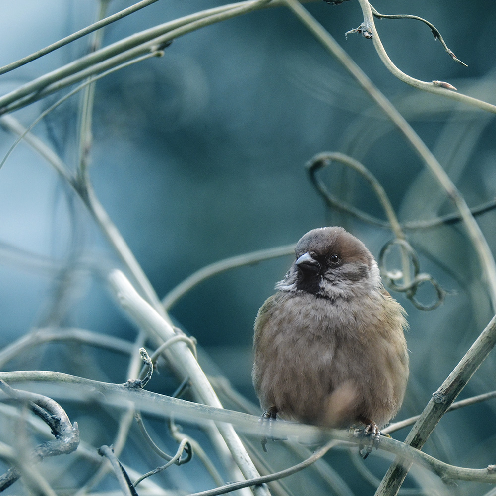 2015��2��3���� a0511.jpg