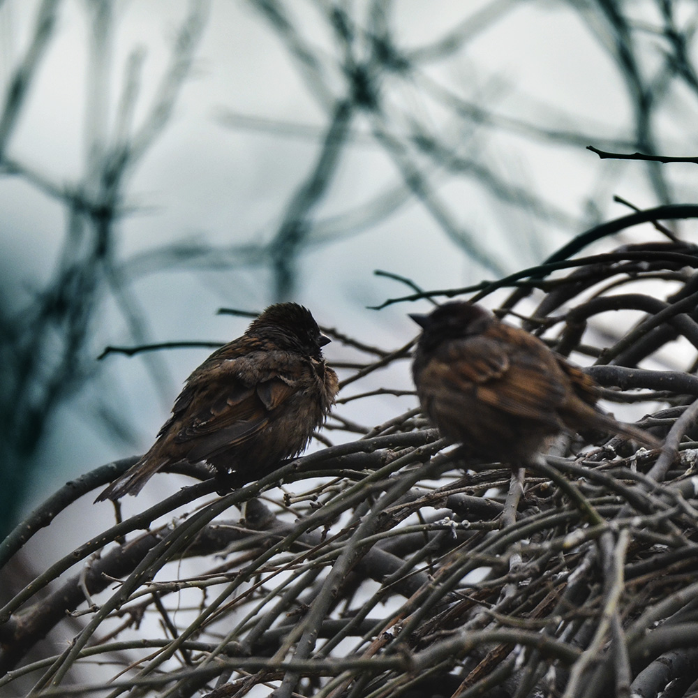 2015��2��3���� a1601.jpg