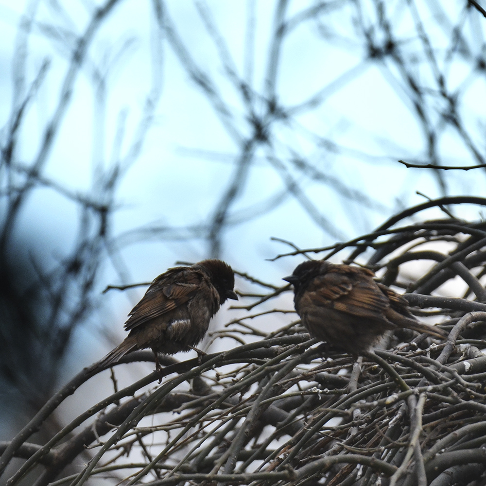 2015��2��3���� a1511.jpg