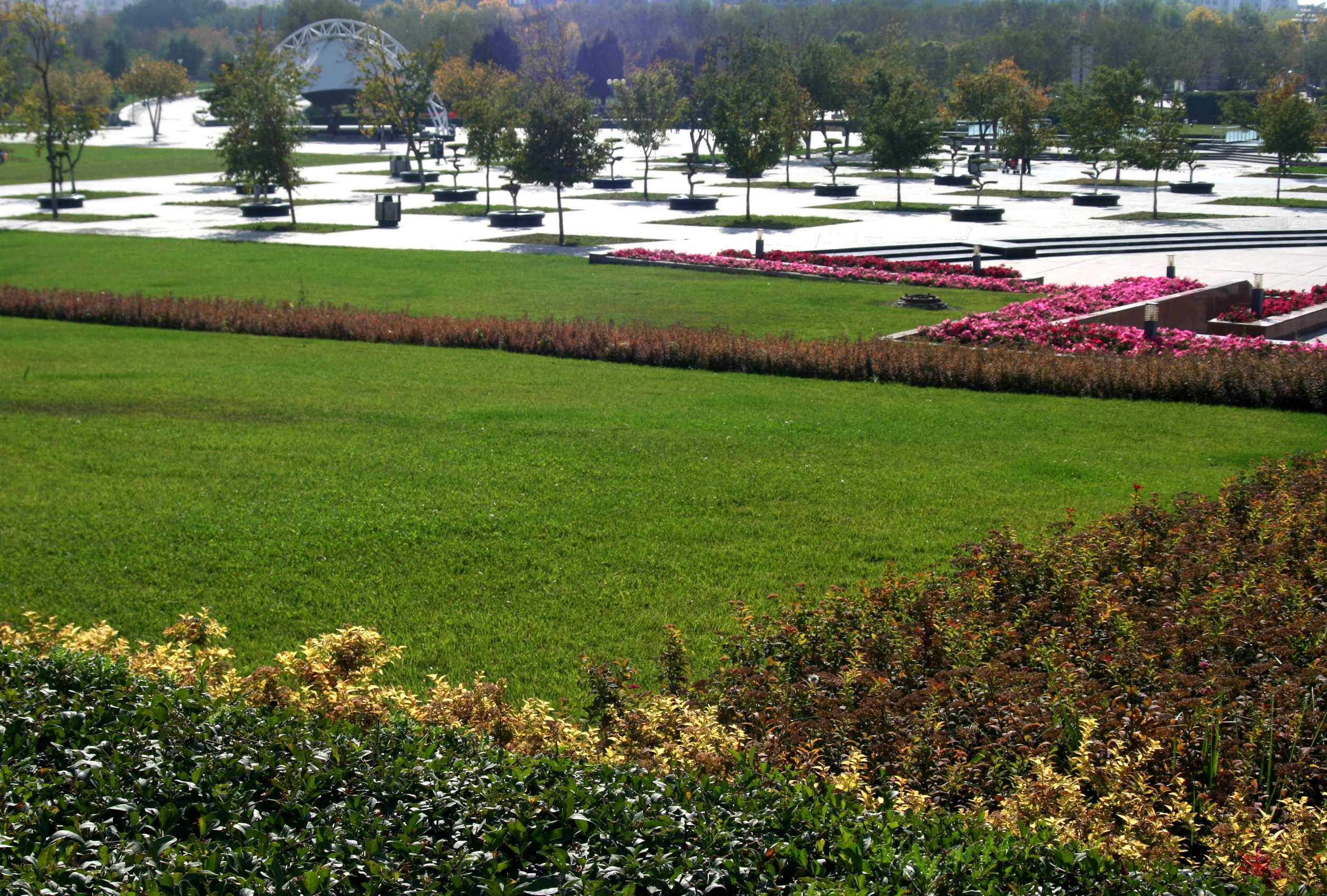 IMG_9819 ����_����.jpg