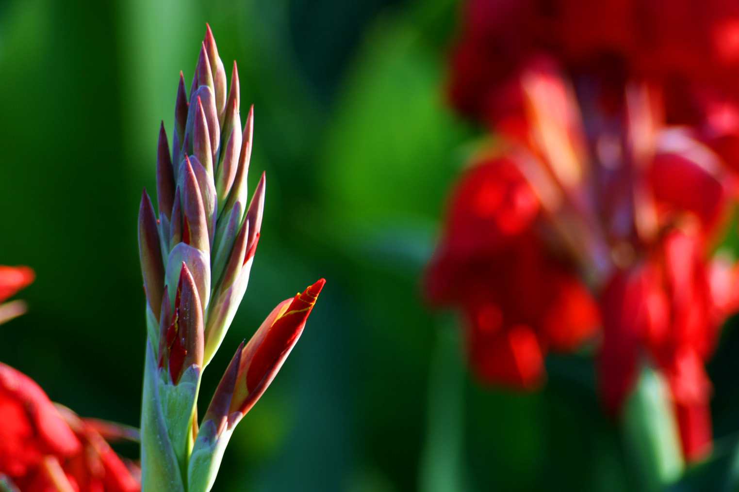 1 (44)_����.jpg