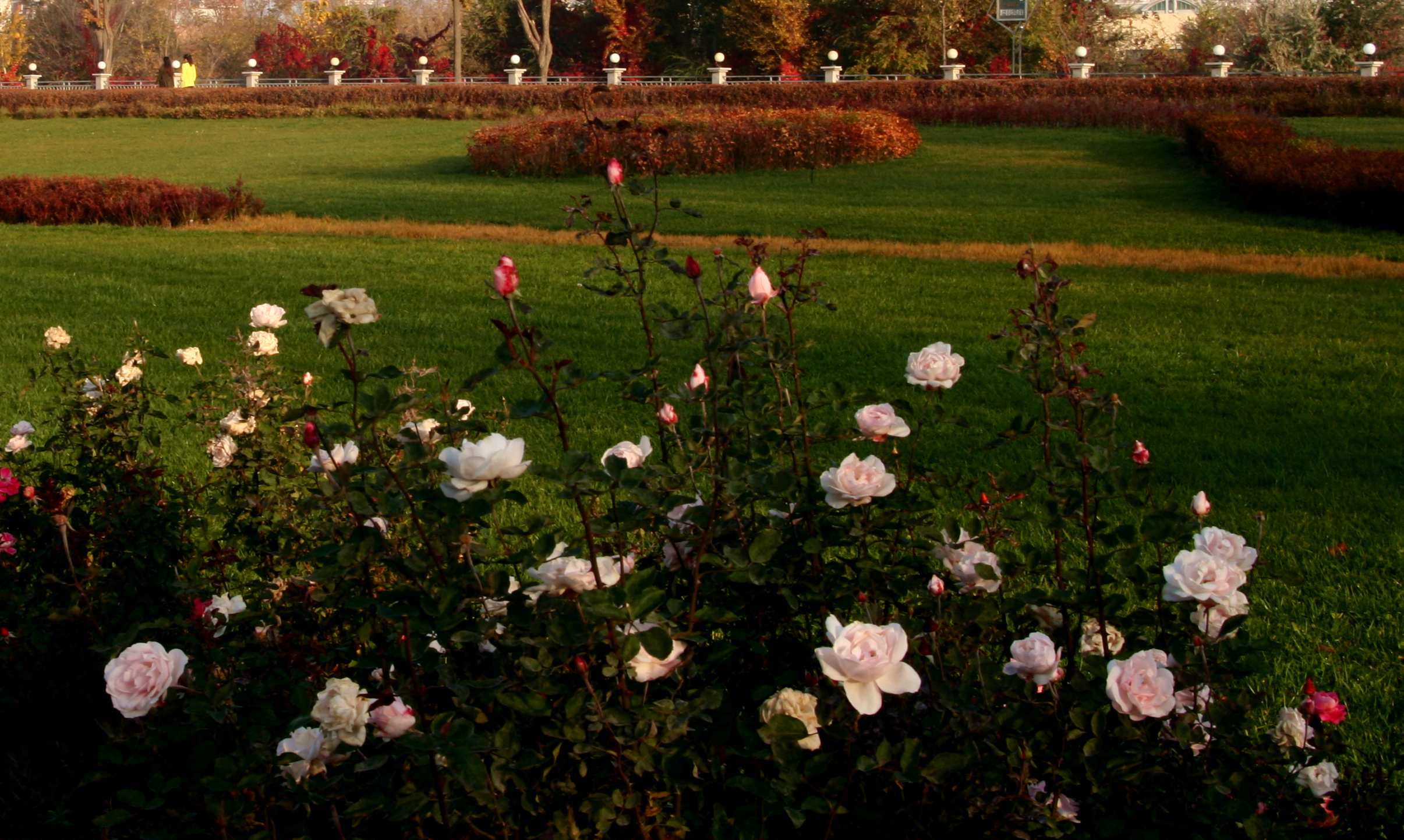 ��Ƭ 009_����1.jpg