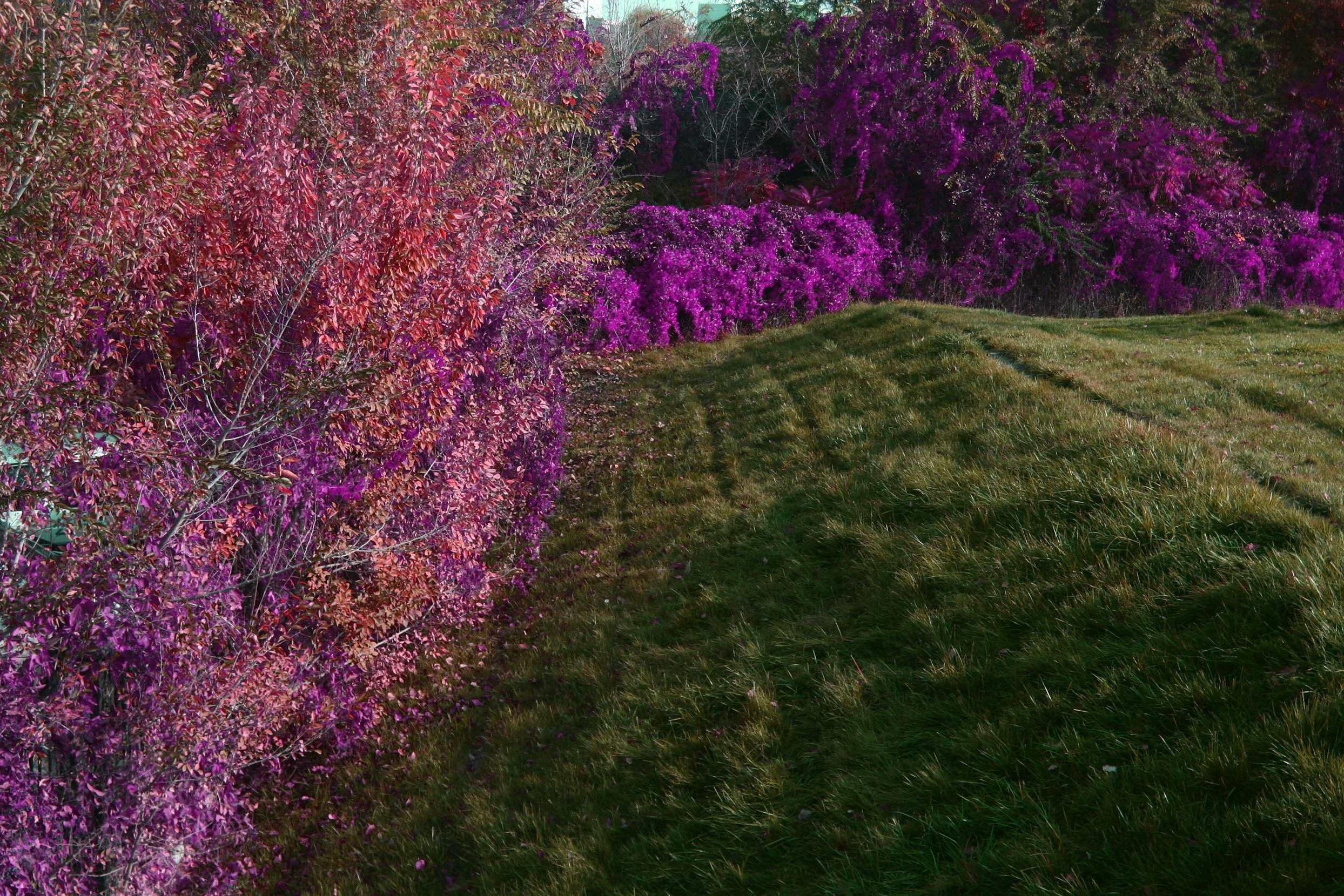 ��Ƭ 051_����.jpg