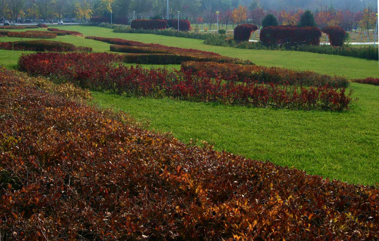 ��Ƭ 078_����_����.jpg