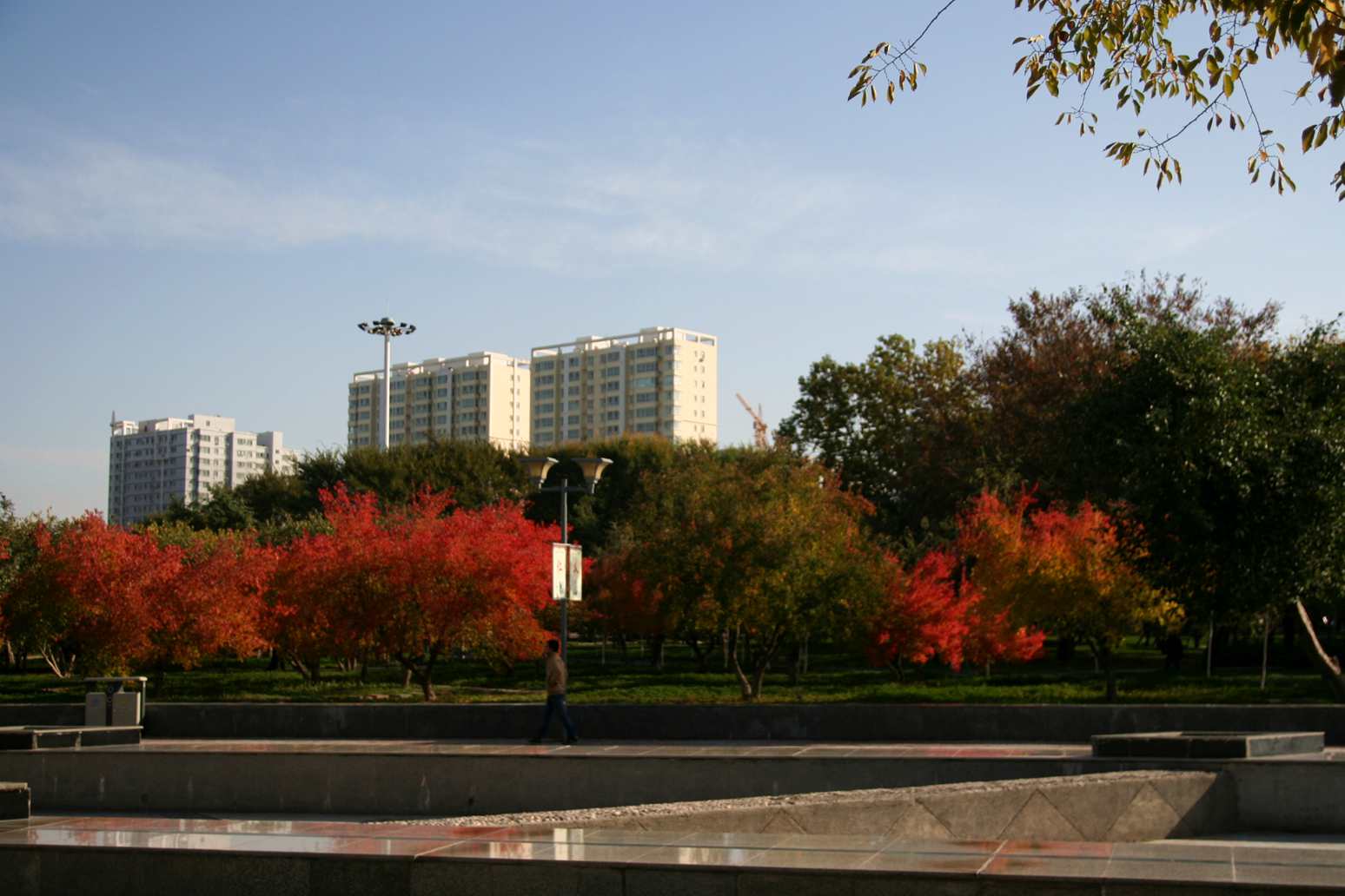 ��Ƭ 206_����.jpg