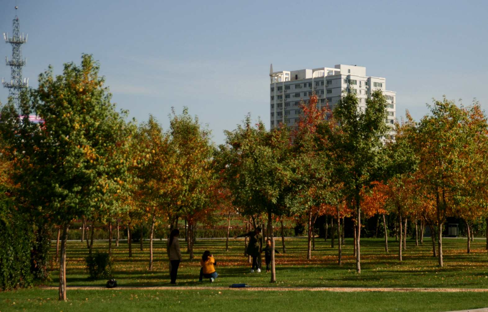 ��Ƭ 221_����1.jpg