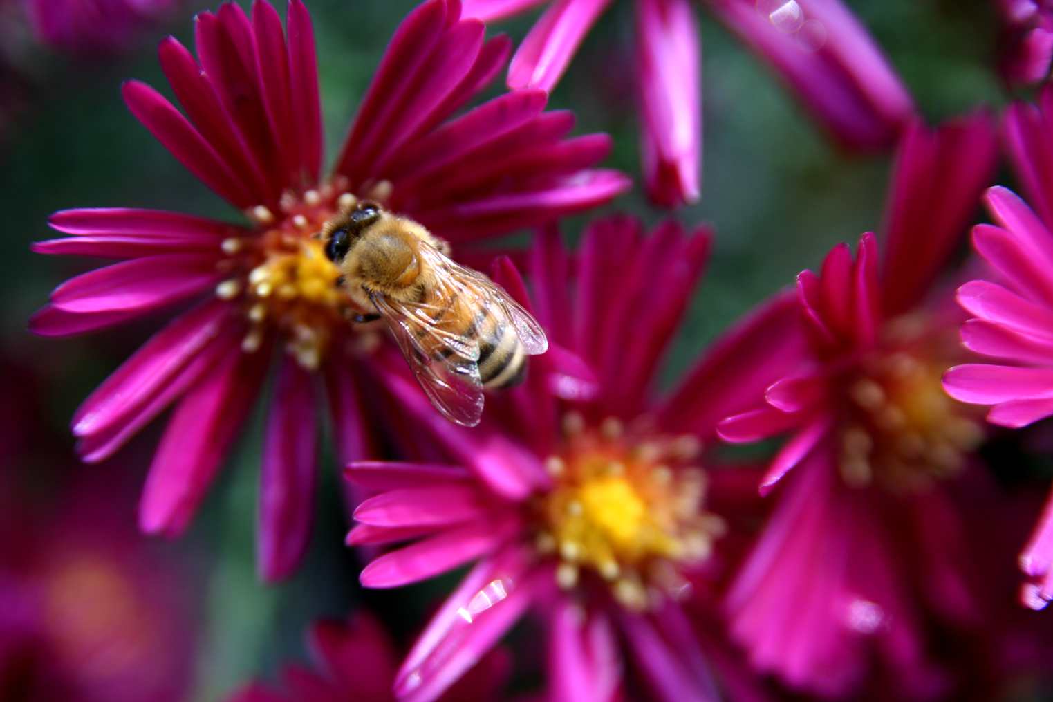 ��Ƭ 240_����.jpg