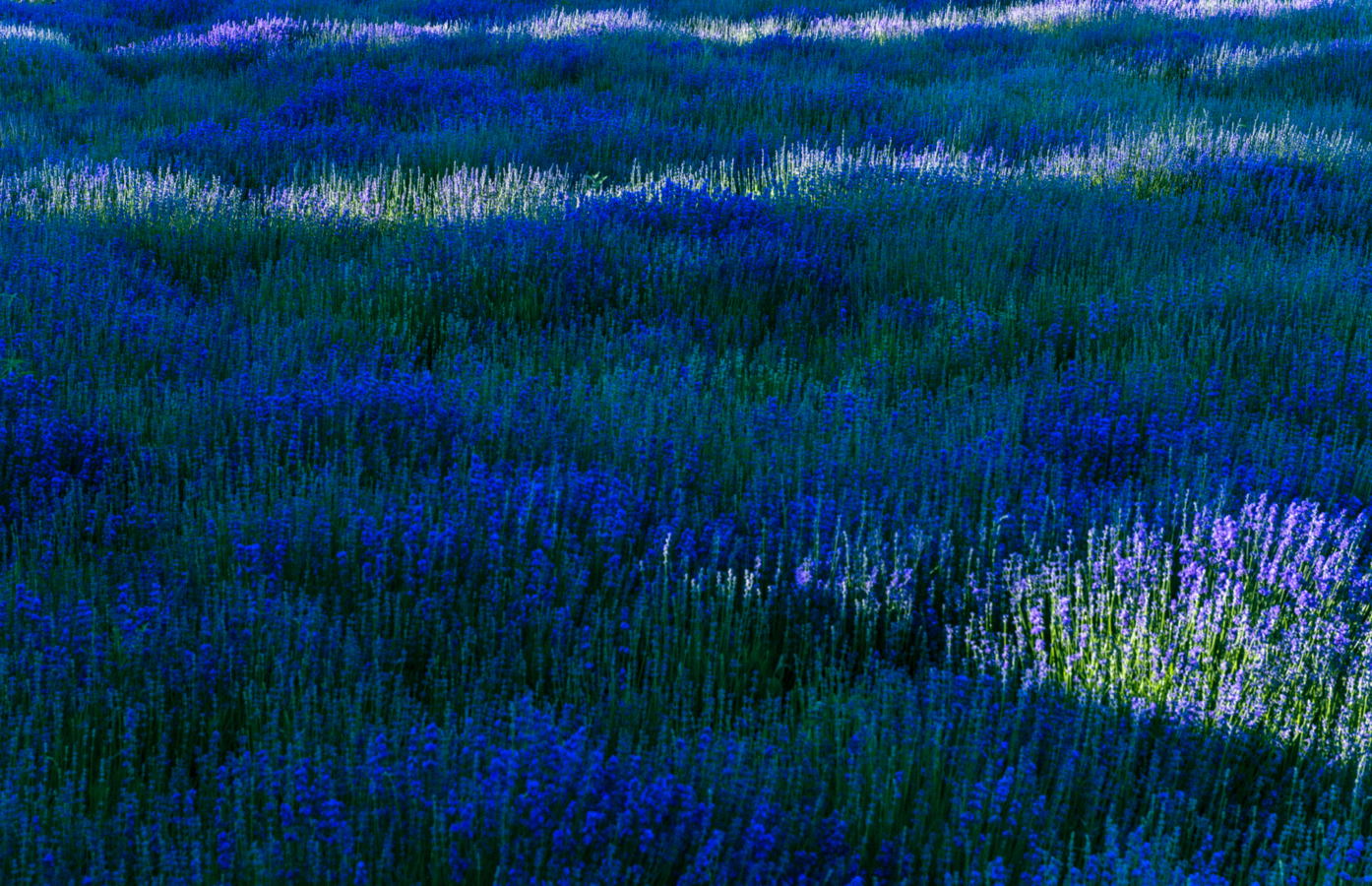 ��ɫ���λ�