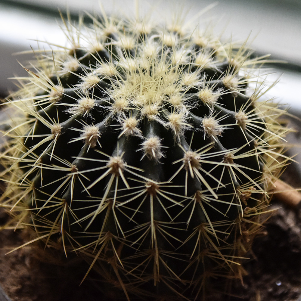 2015��2��5�ջ�a 0121.jpg