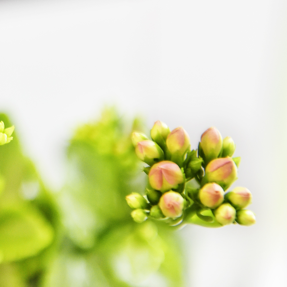 2015��2��5�ջ� a0041.jpg