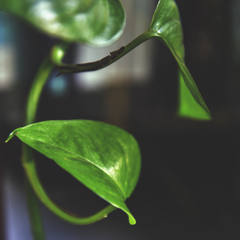 2015��2��5�ջ� a0151.jpg