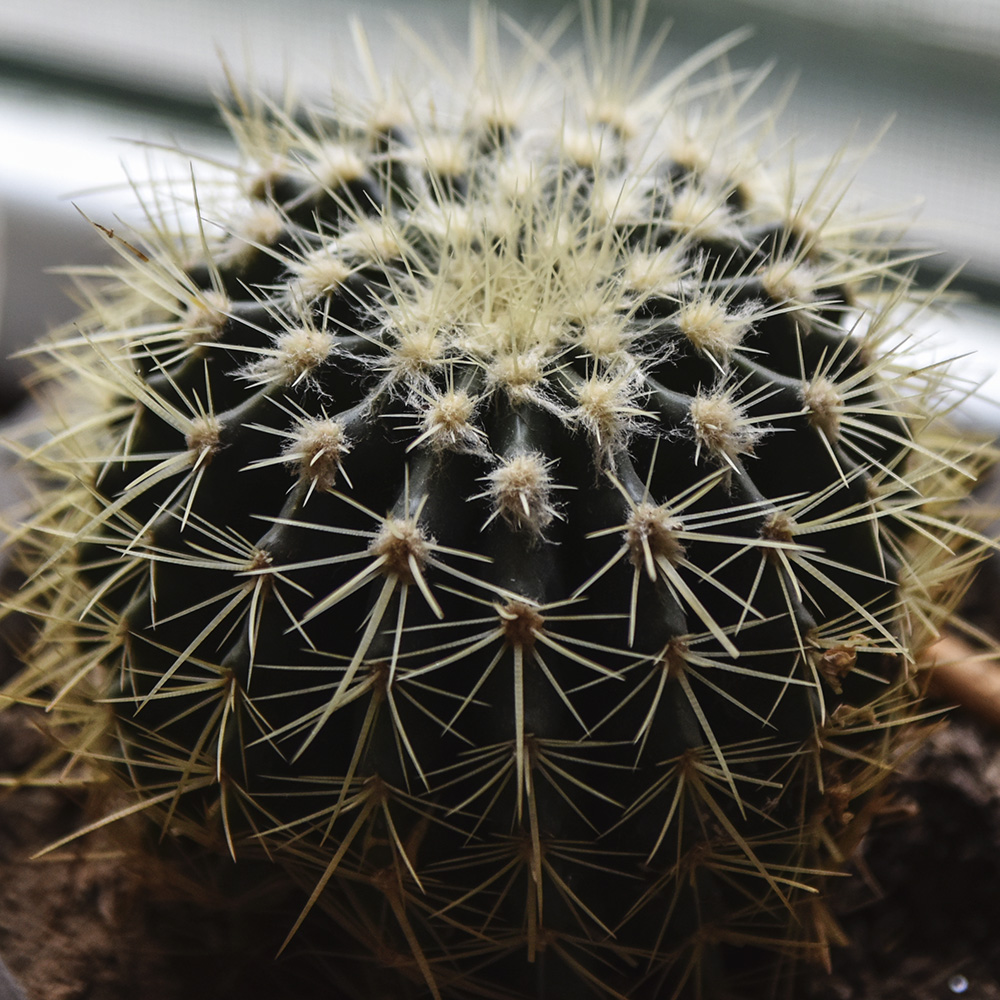 2015��2��5�ջ� a0131.jpg