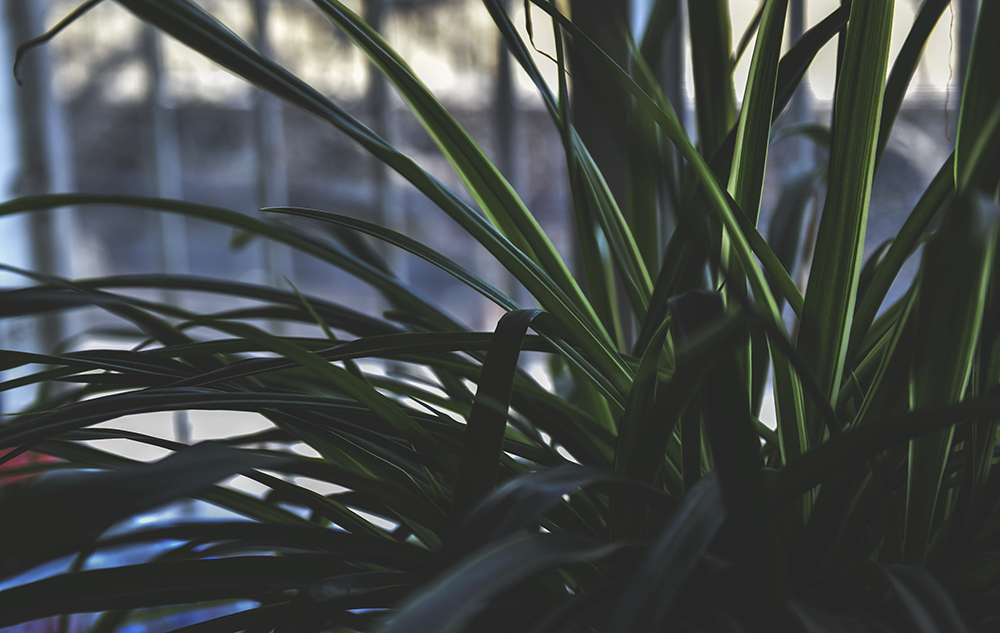 2015��2��5�ջ� a0161.jpg