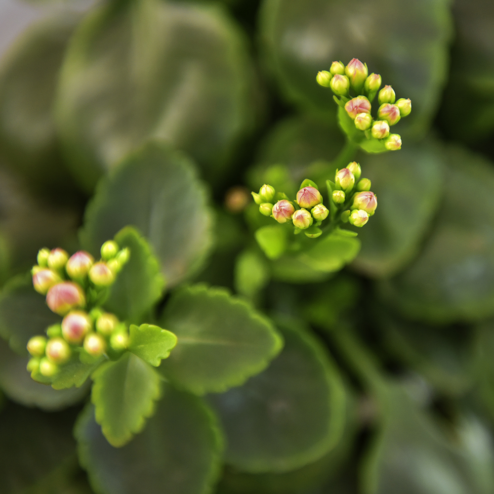 2015��2��5�ջ� a0031.jpg