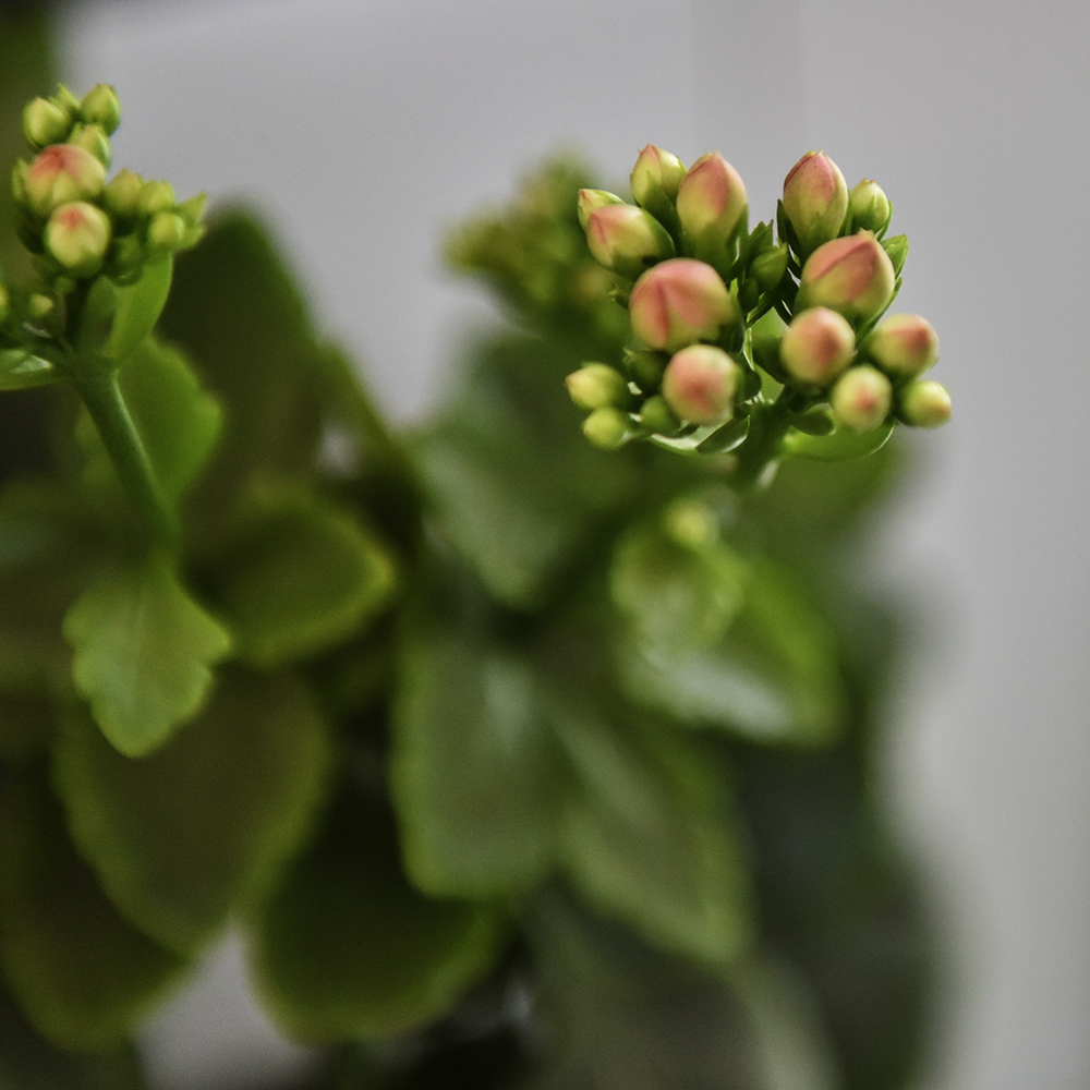 2015��2��5�ջ� a0051.jpg