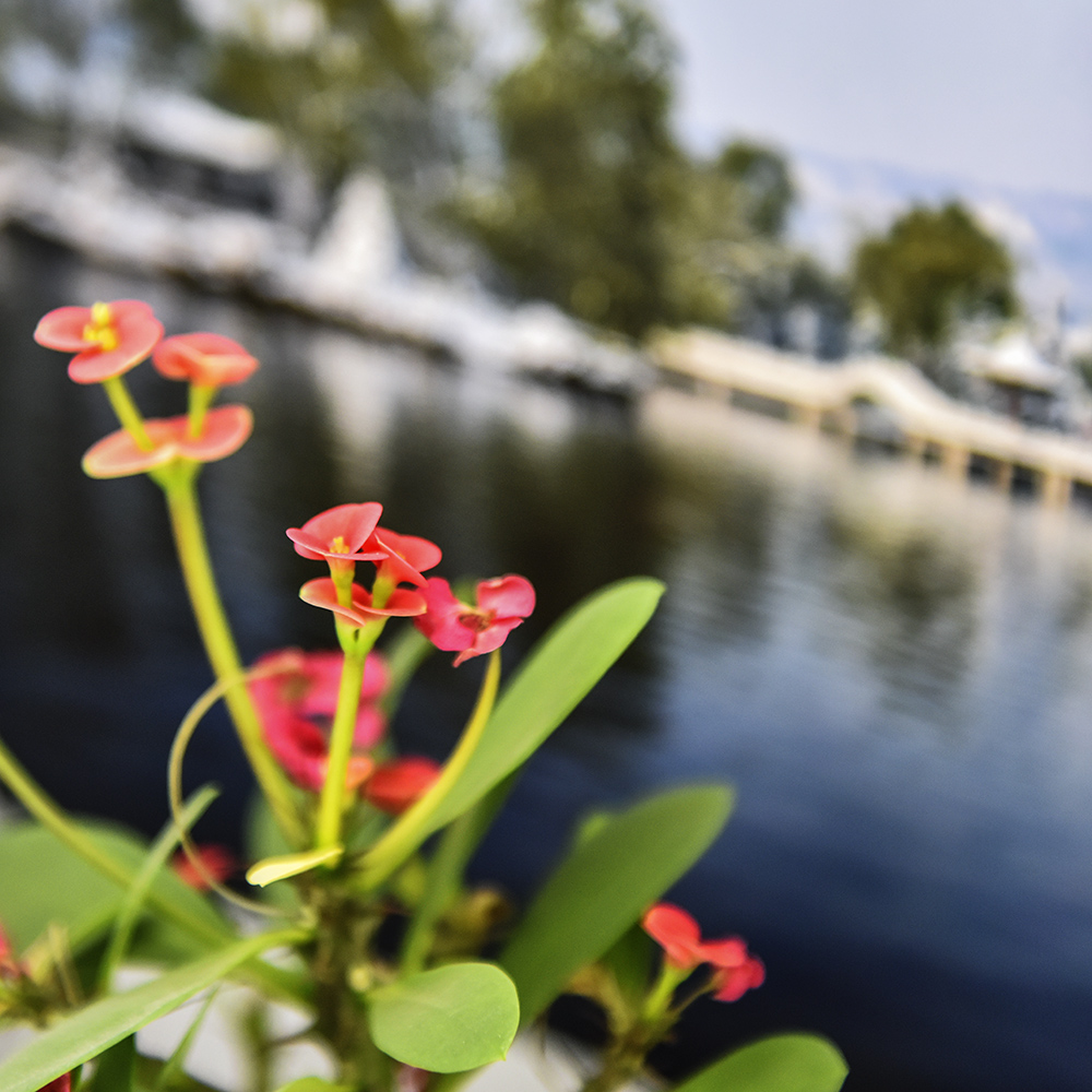 2015��2��5�ջ� a0091.jpg