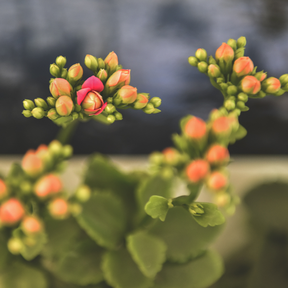 2015��2��5�ջ� a0061.jpg