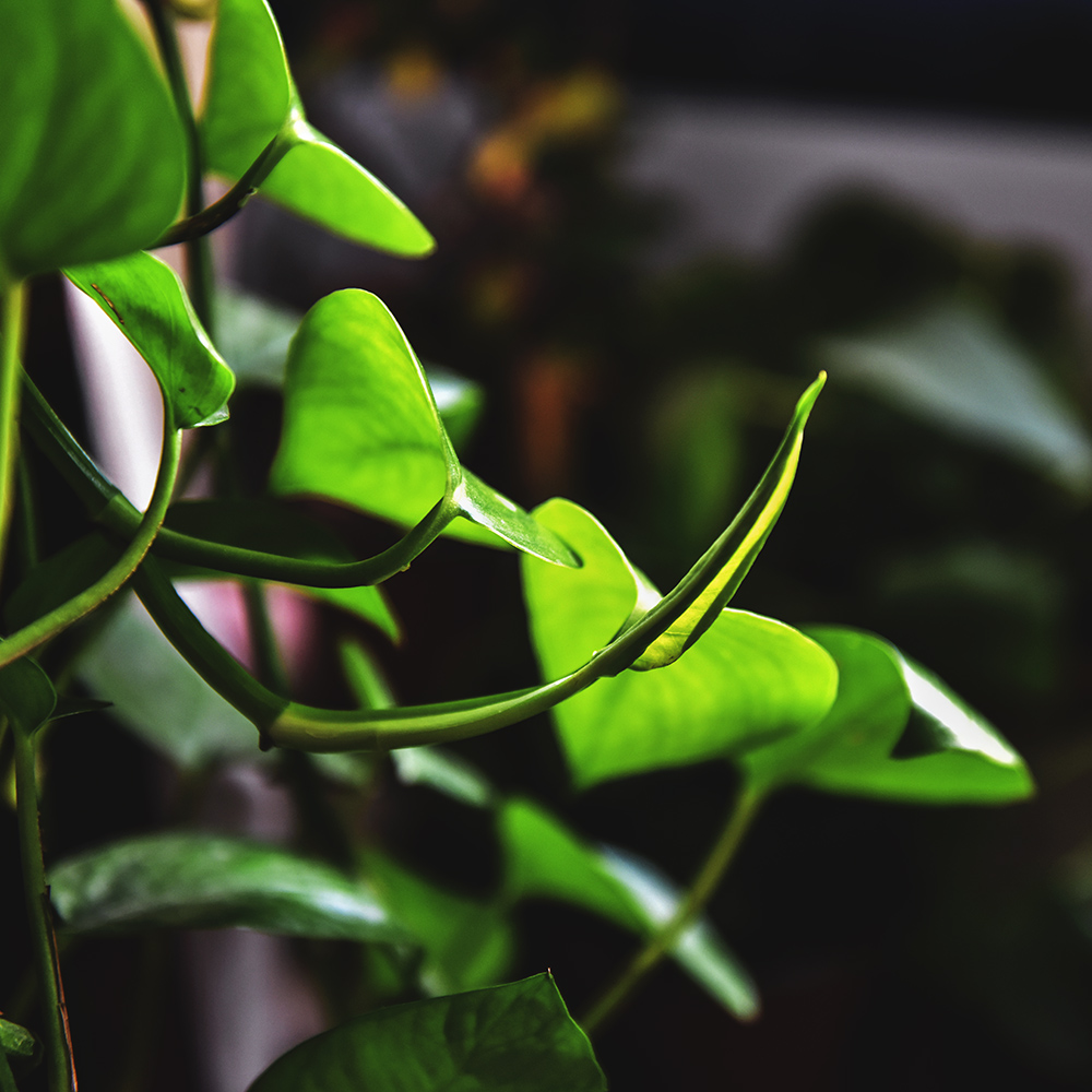 2015��2��5�ջ� a0111.jpg