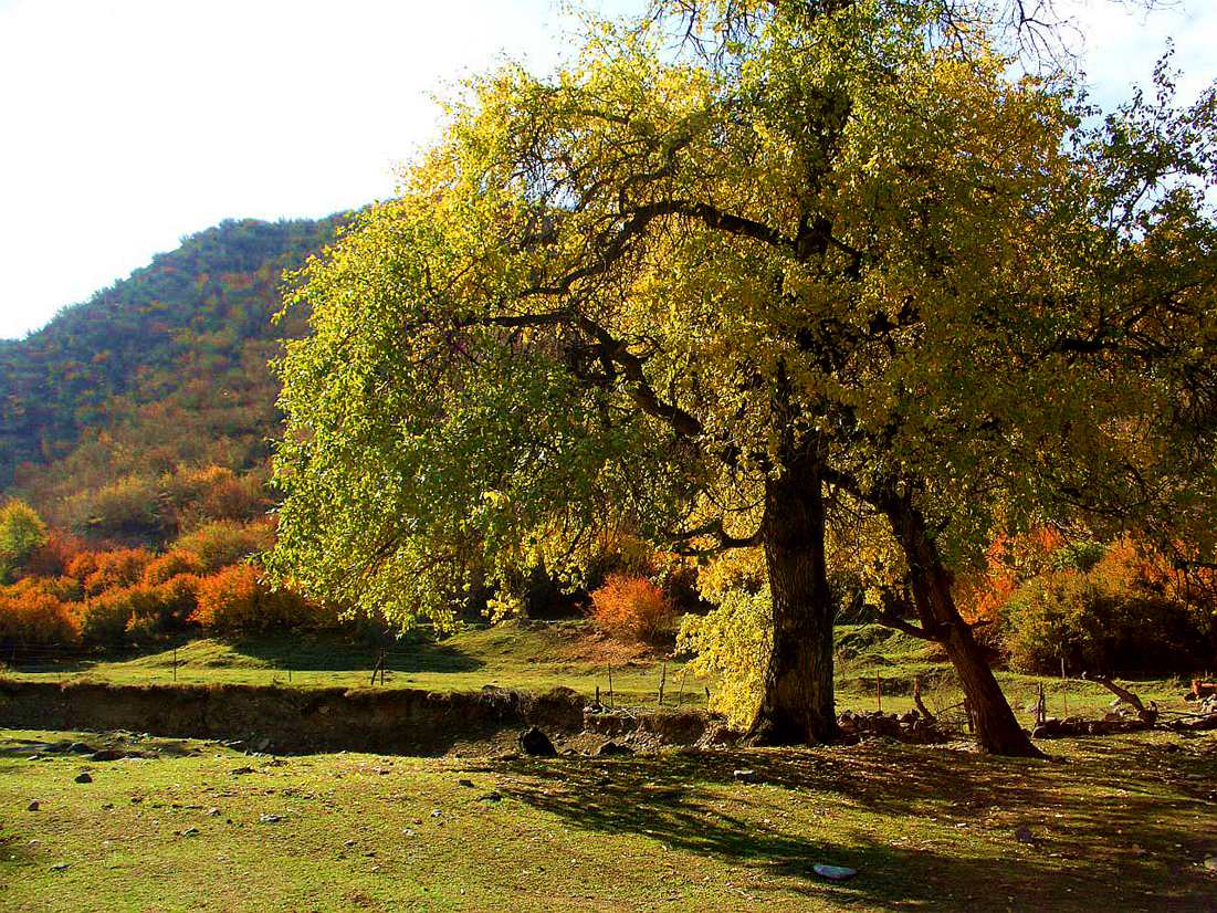 CIMG0019 ����_����.jpg