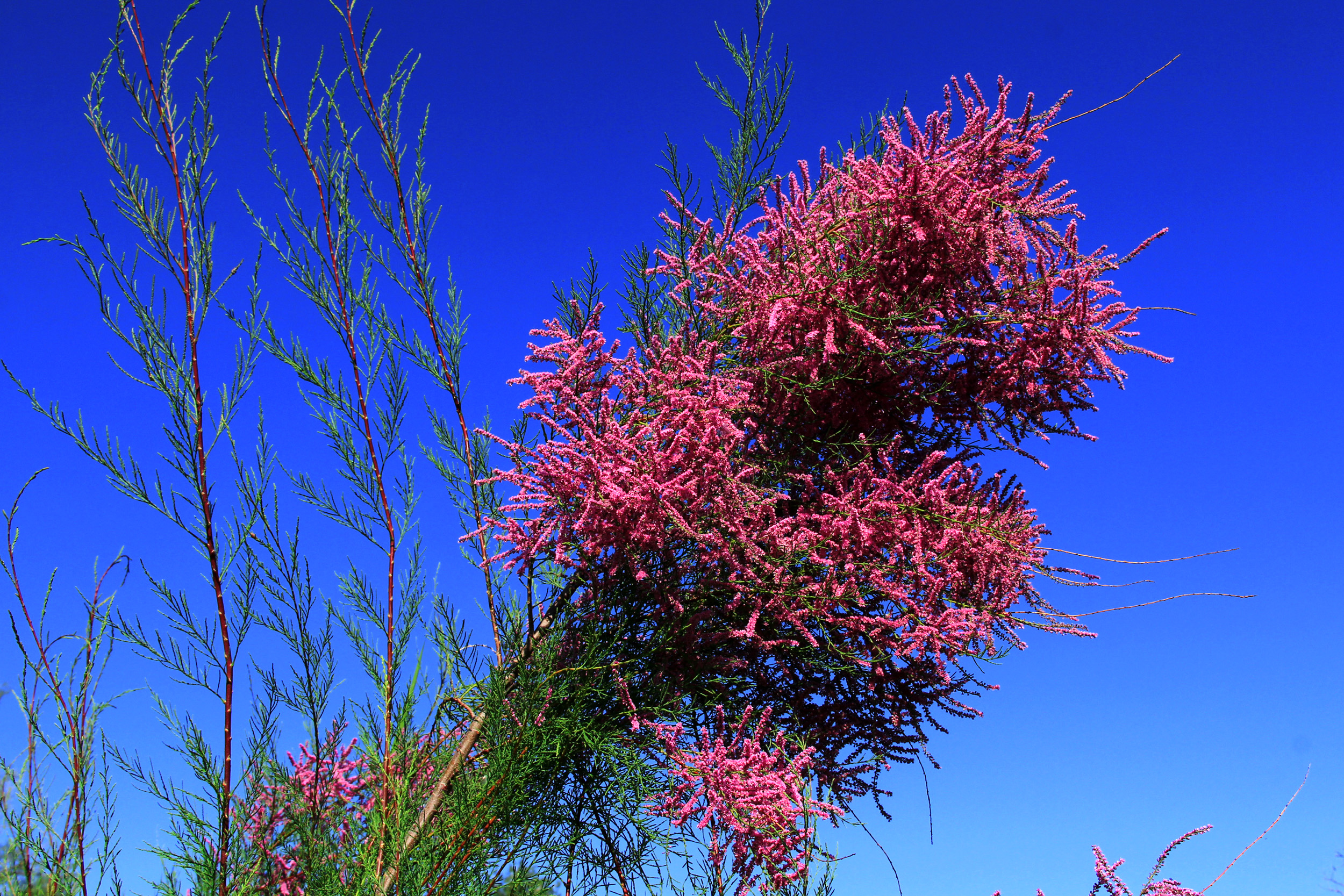 ���Ұ�� (1).jpg