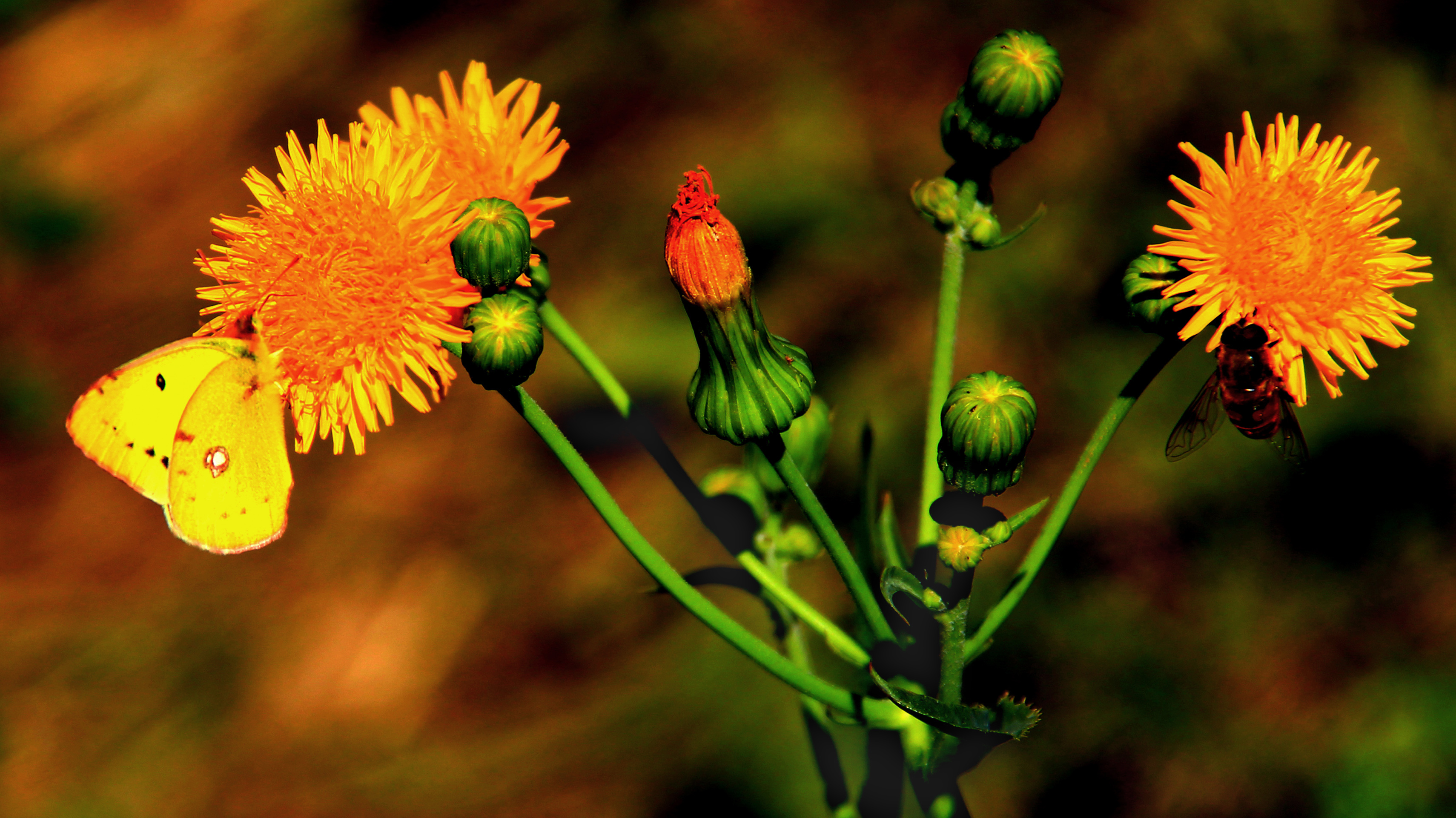 ���Ұ�� (4).jpg