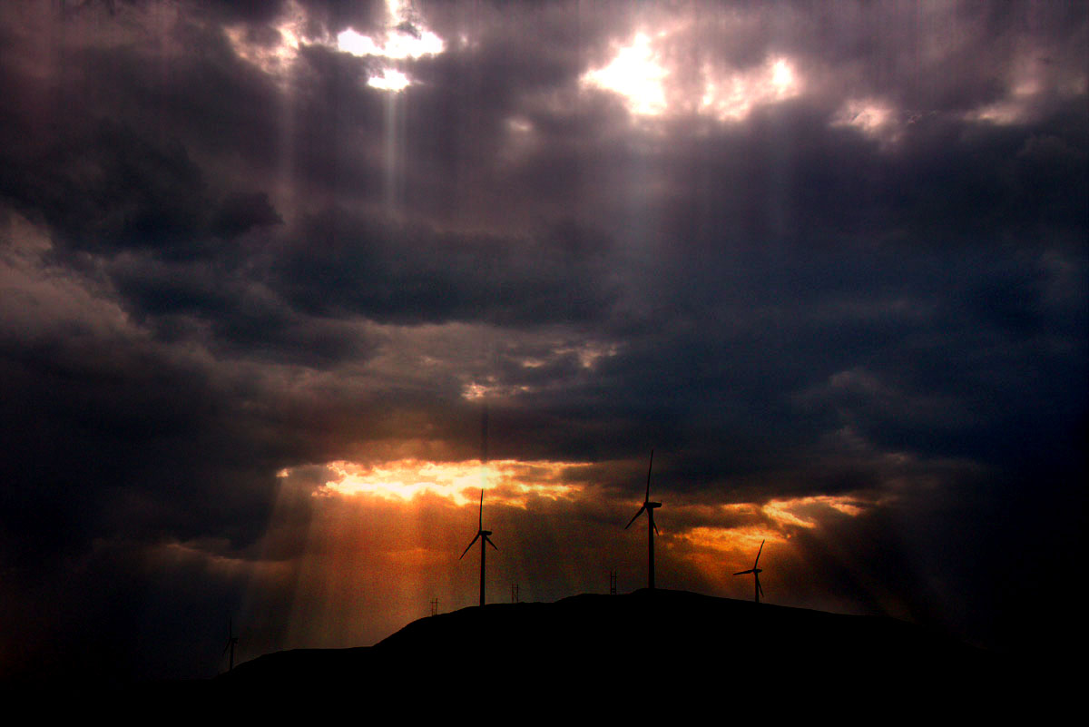 28. ��������.jpg