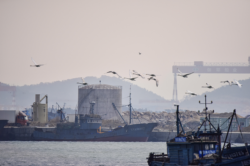 2015��1��12��ɽ�� a1031.jpg