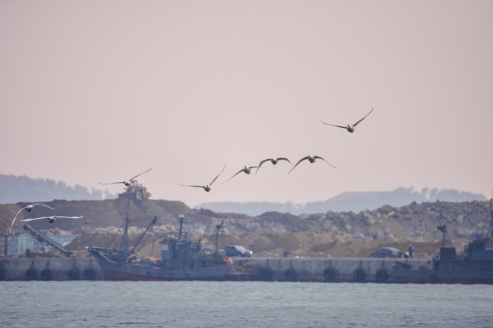 2015��1��12��ɽ�� a1211.jpg