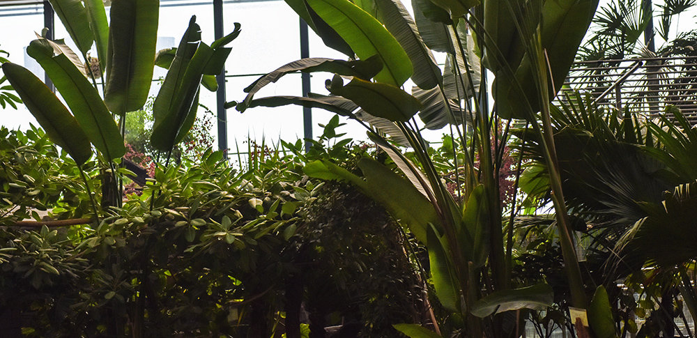 2015��1��23��ģ�� a0071.jpg