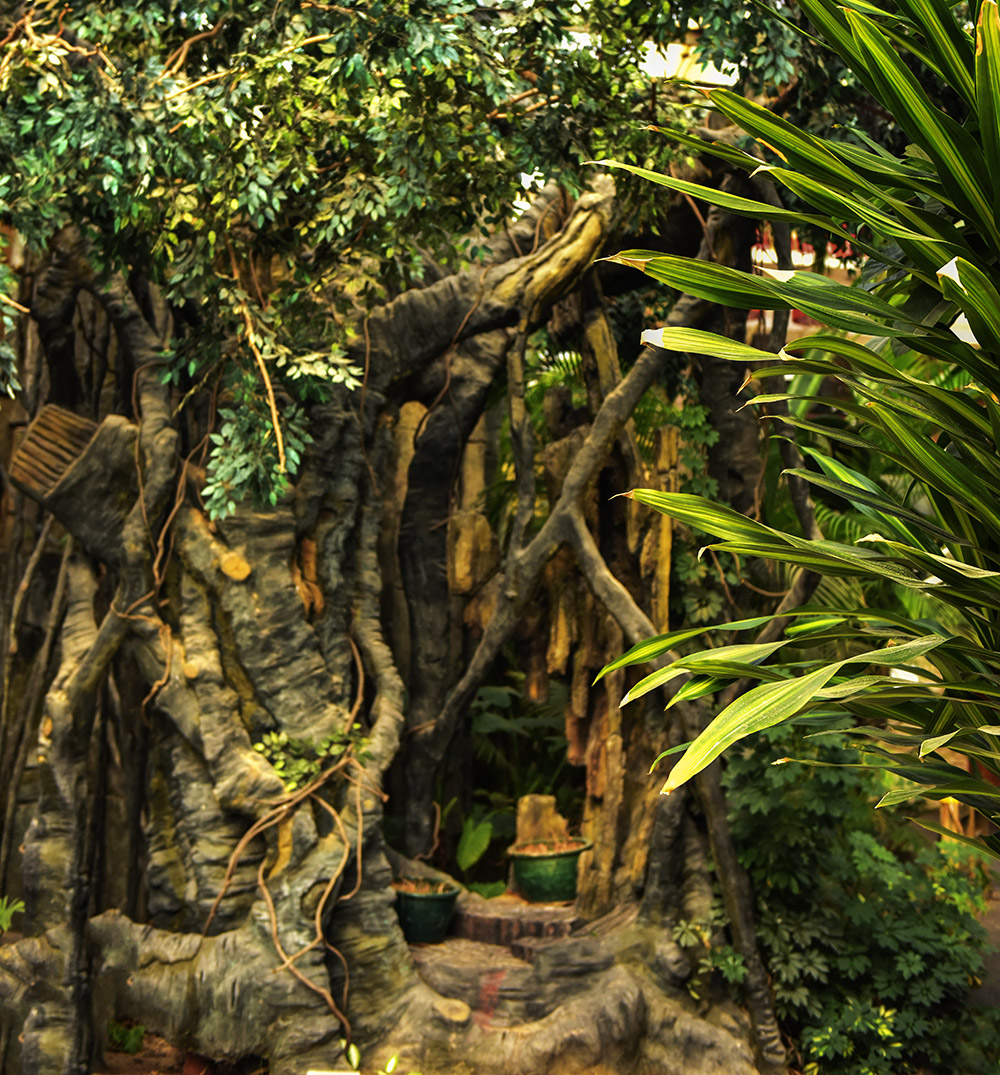 2015��1��23��ģ�� a0121.jpg