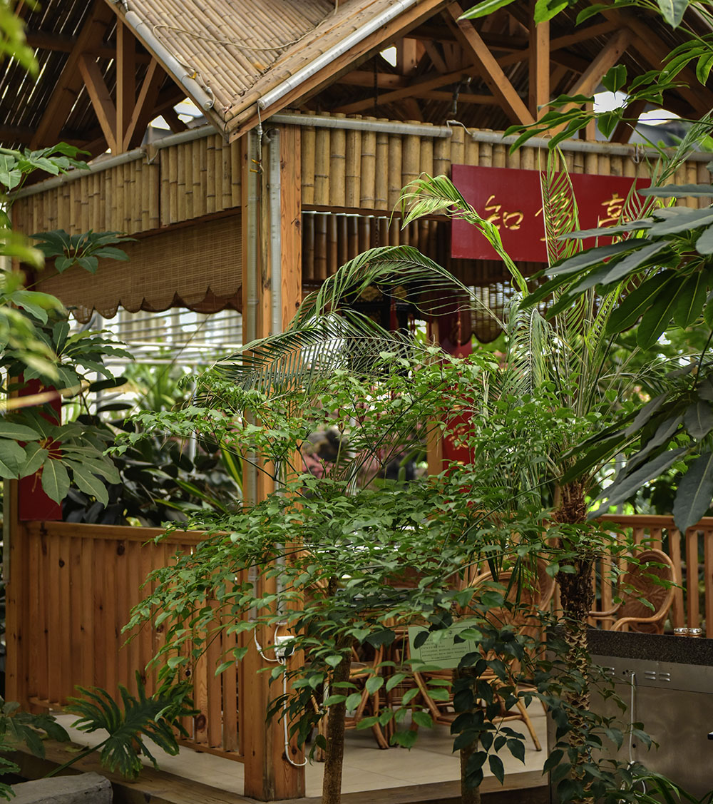 2015��1��23��ģ�� a3241.jpg