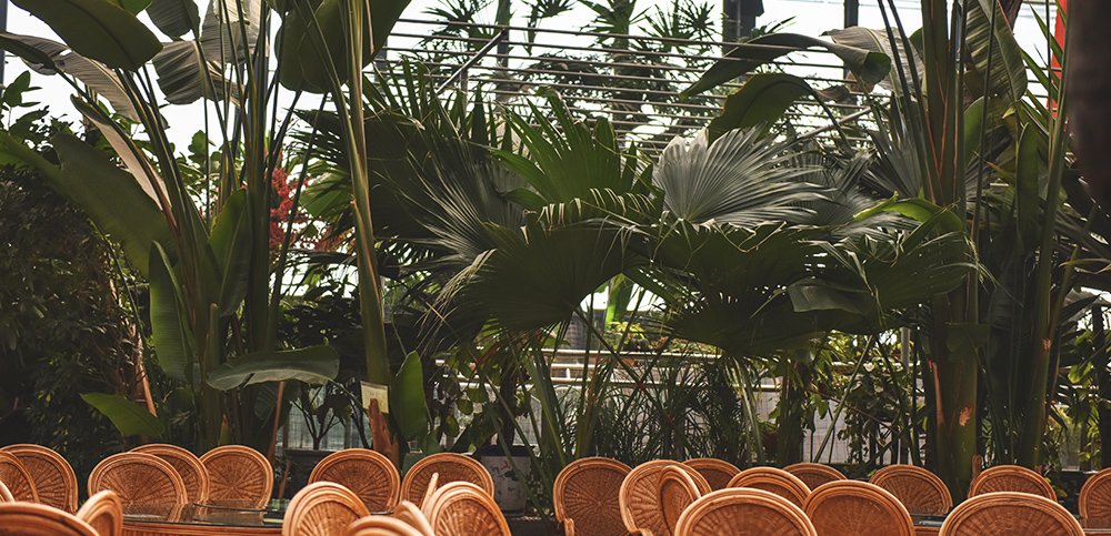 2015��1��23��ģ�� a9191.jpg