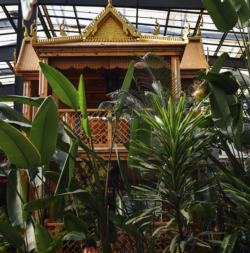 2015��1��23��ģ�� a0031.jpg