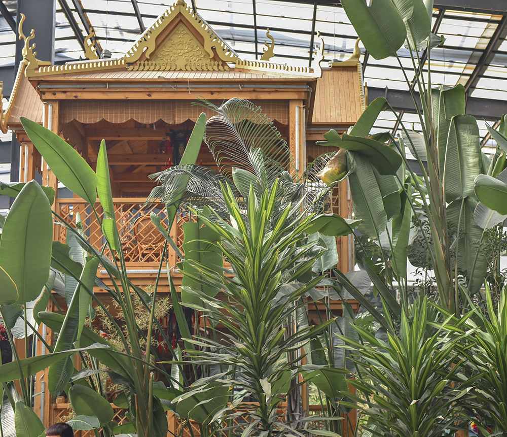 2015��1��23��ģ�� a0091.jpg