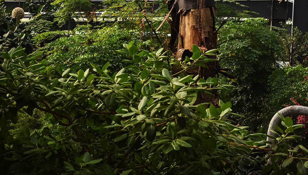 2015��1��23��ģ�� a0111.jpg