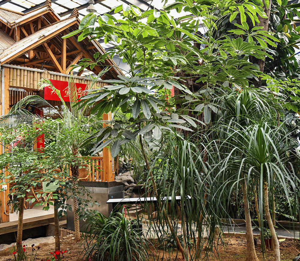 2015��1��23��ģ�� a3261.jpg