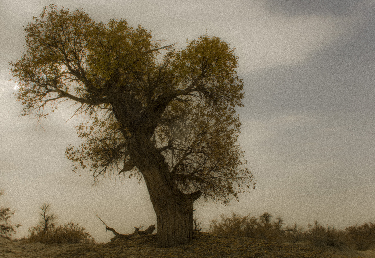 1000�겻���ĺ���